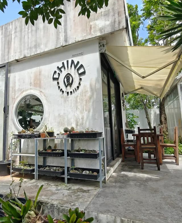 Chino@Cafe' Gallery - Baan Lipon