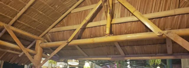 ครัวอีสานร่มไทร